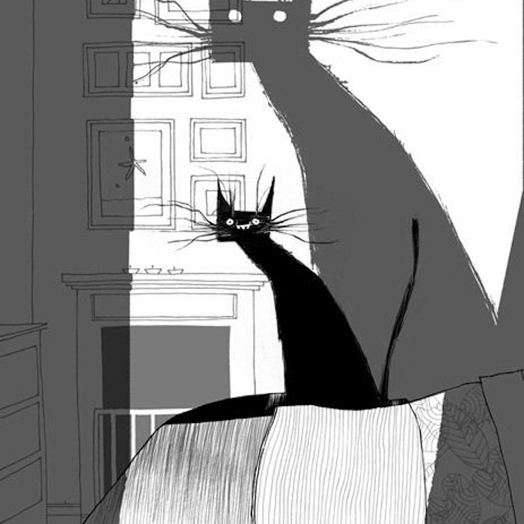El gato